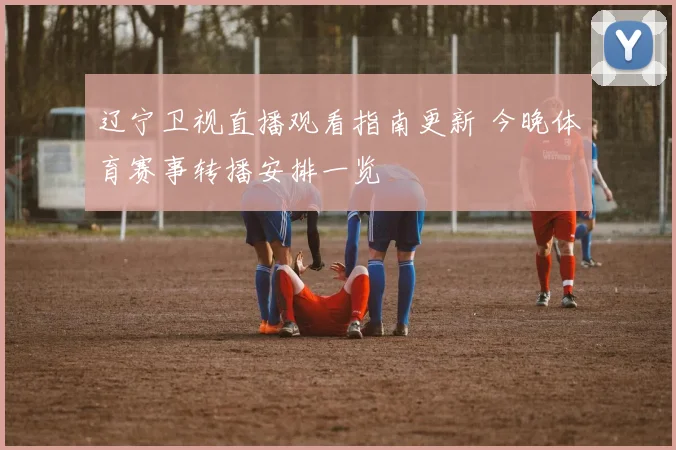 辽宁卫视直播观看指南更新 今晚体育赛事转播安排一览